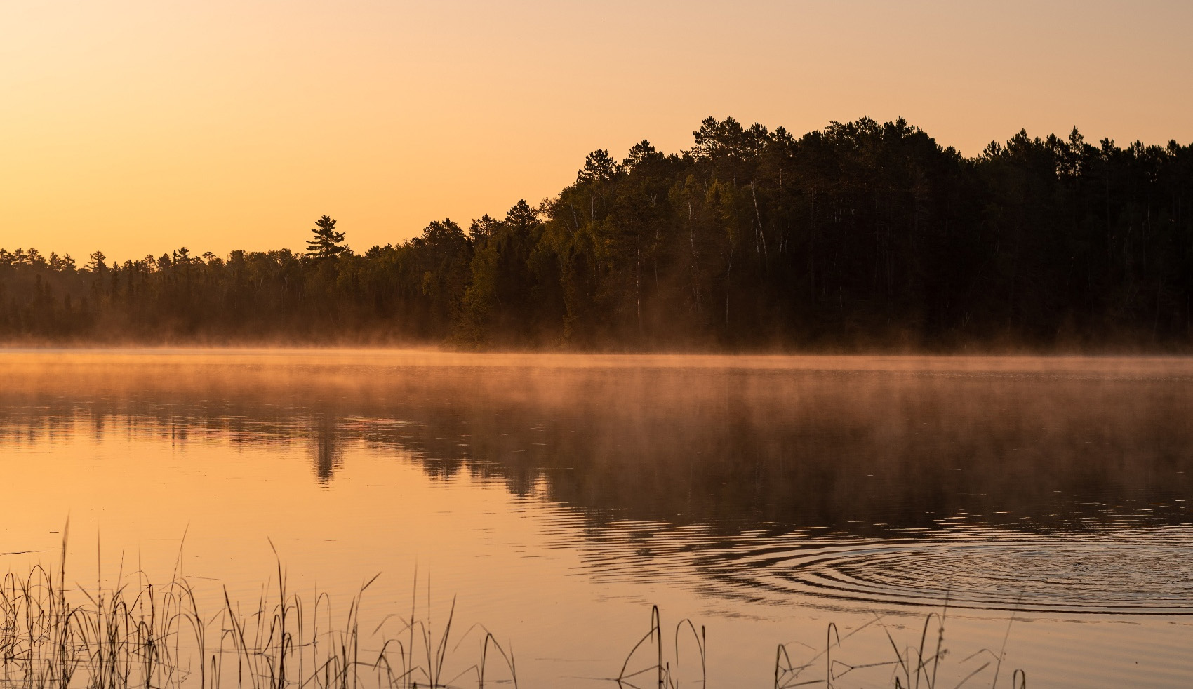 Ham Lake, MN 1