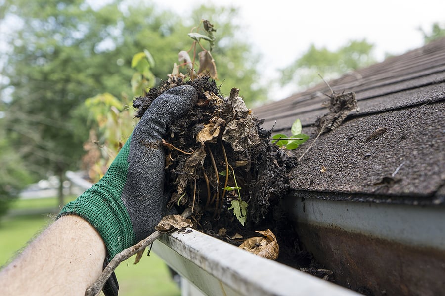 bigstock-Cleaning-Gutters-During-The-Su-98897219