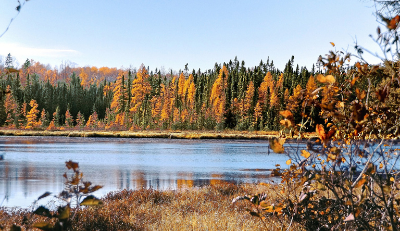 cambridge-minnesota-new-home-sites