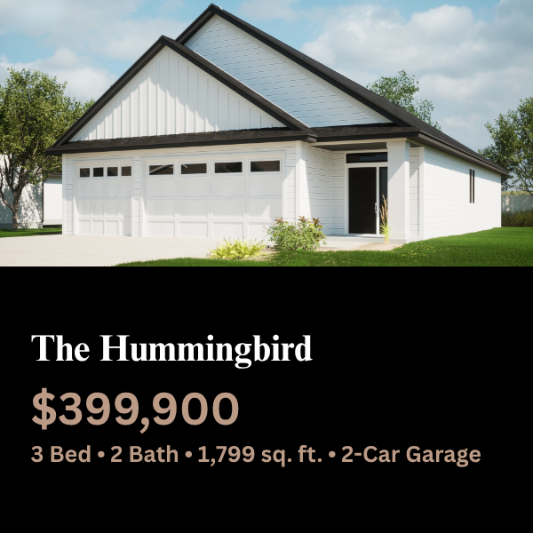 The Hummingbird (1)