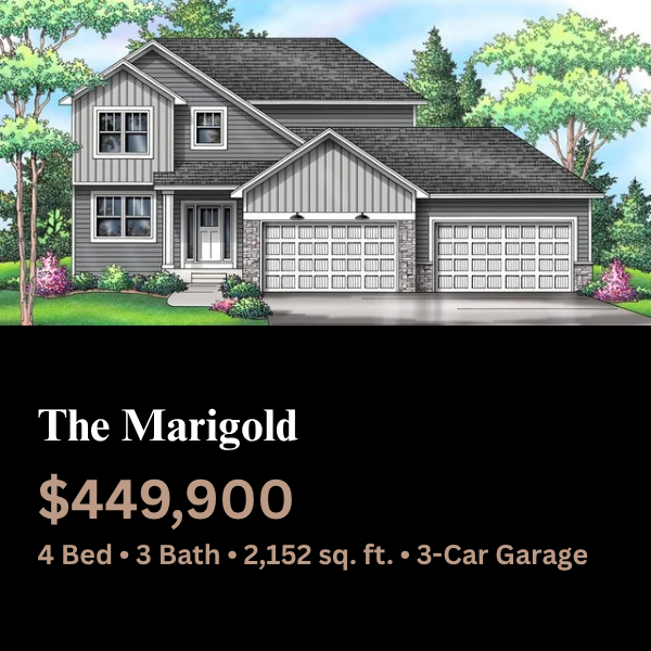 The Marigold The Marigold